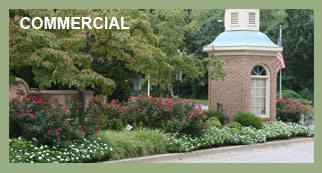 AW Landscapes, Inc. Services, Commercial